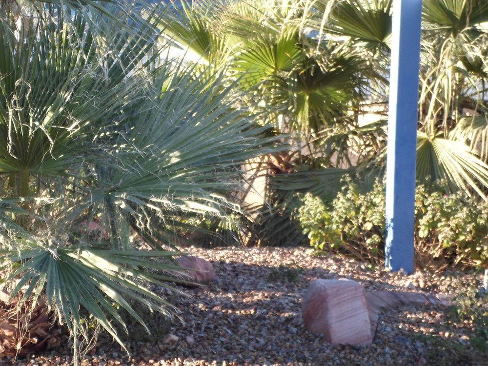 Howard Johnson By Wyndham Las Vegas Near The Strip Exterior foto